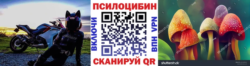 Галлюциногенные грибы GOLDEN TEACHER  цена   площадка официальный сайт  Дубовка 
